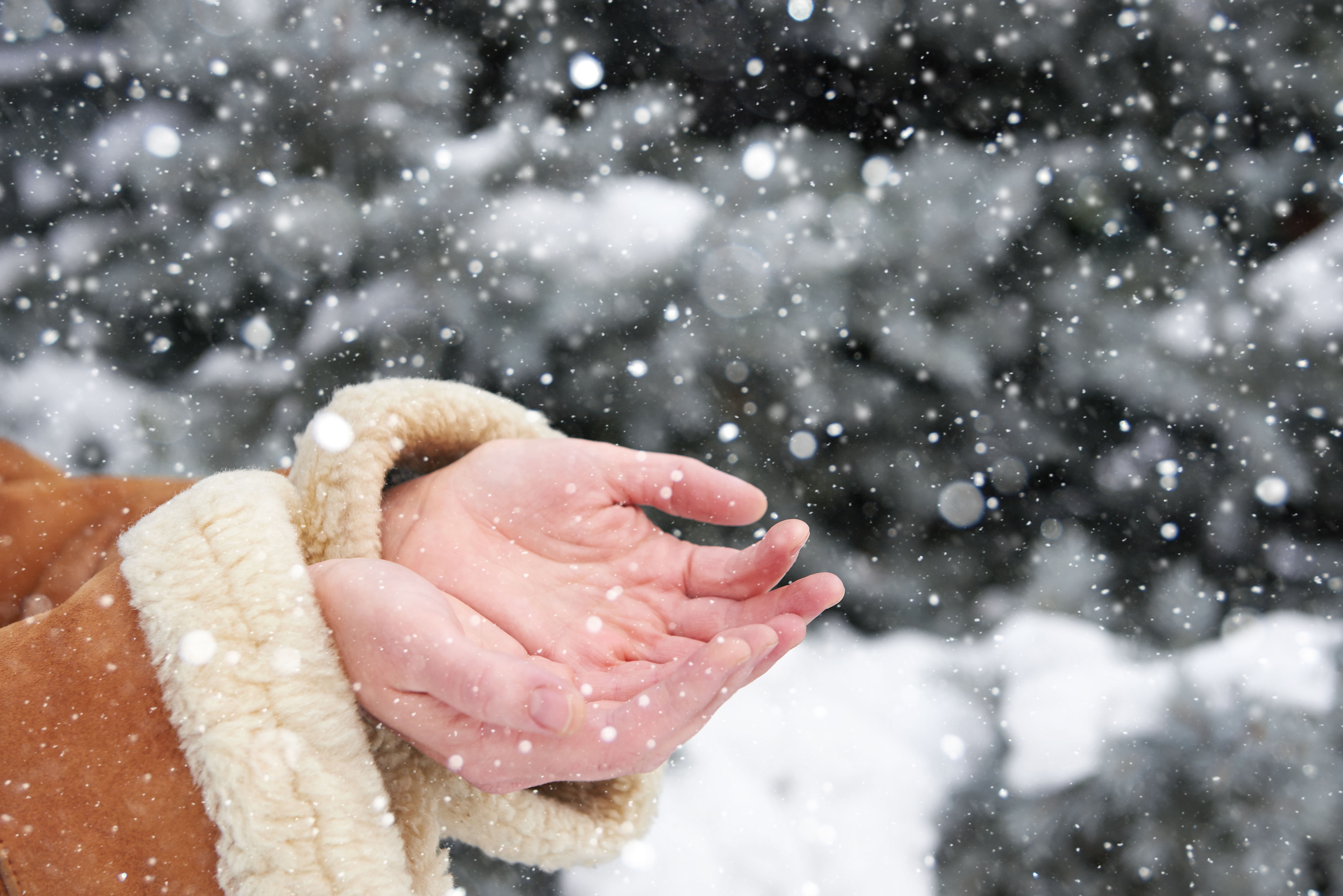 როგორ შევინარჩუნეთ რბილი და გლუვი ხელები ზამთრის ცივ დღეებში?